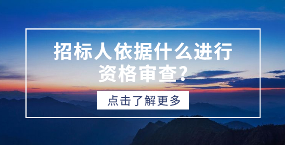 招標人依據(jù)什么進行資格審查?