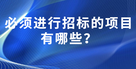 必須進行招標的項目有哪些？