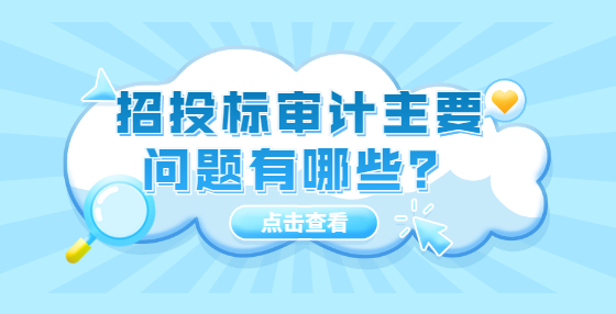 招投標(biāo)審計(jì)主要問題有哪些？