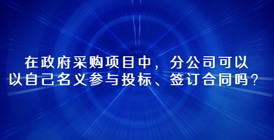 在政府采購項(xiàng)目中，分公司可以以自己名義參與投標(biāo)、簽訂合同嗎？