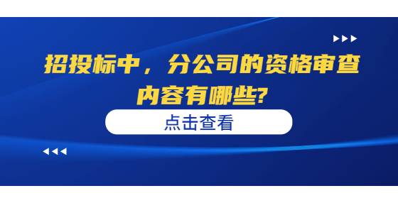 招投標(biāo)中，分公司的資格審查內(nèi)容有哪些?