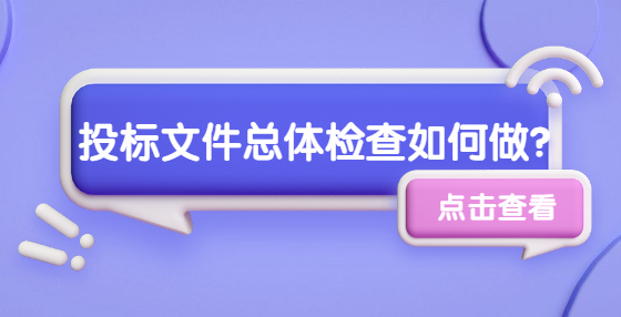 投標(biāo)文件總體檢查如何做？