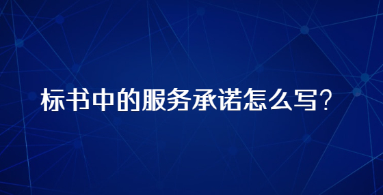 標書中的服務承諾怎么寫？