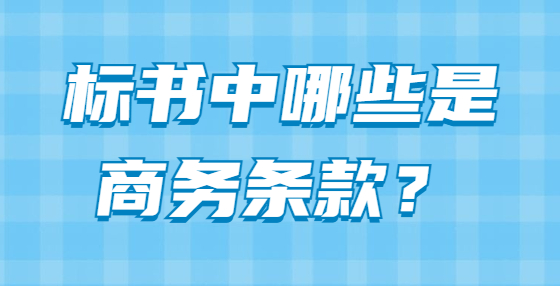 標(biāo)書中哪些是商務(wù)條款？