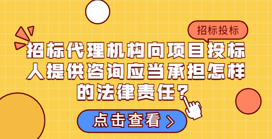 招標(biāo)代理機(jī)構(gòu)向項(xiàng)目投標(biāo)人提供咨詢應(yīng)當(dāng)承擔(dān)怎樣的法律責(zé)任？