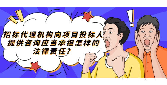 招標代理機構向項目投標人提供咨詢應當承擔怎樣的法律責任？