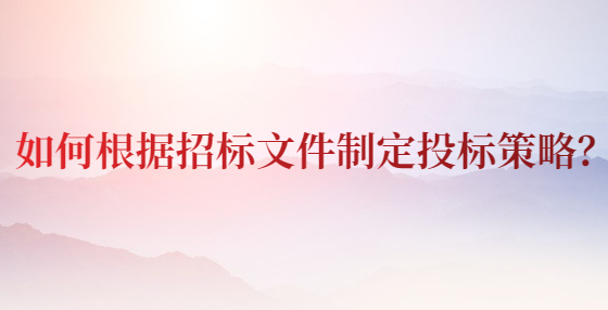 如何根據(jù)招標(biāo)文件制定投標(biāo)策略？