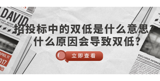 招投標(biāo)中的雙低是什么意思？什么原因會導(dǎo)致雙低?