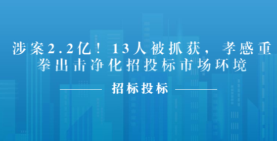 涉案2.2億！13人被抓獲，孝感重拳出擊凈化招投標(biāo)市場環(huán)境