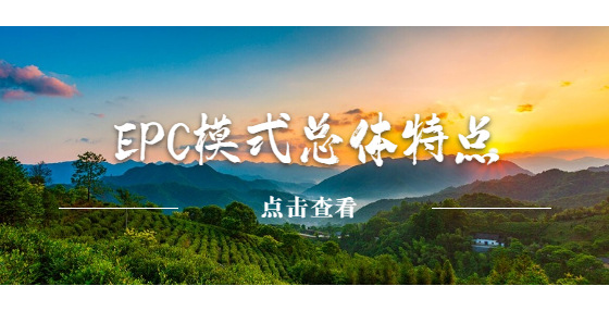 EPC模式總體特點(diǎn)