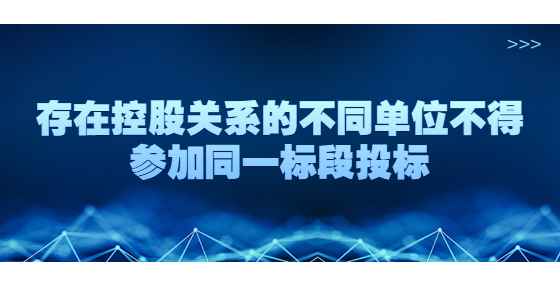 存在控股關系的不同單位不得參加同一標段投標