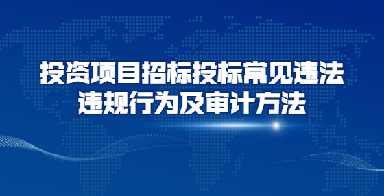 投資項目招標(biāo)投標(biāo)常見違法違規(guī)行為及審計方法