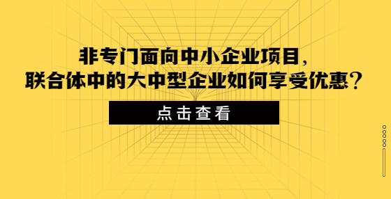 非專(zhuān)門(mén)面向中小企業(yè)項(xiàng)目，聯(lián)合體中的大中型企業(yè)如何享受優(yōu)惠？