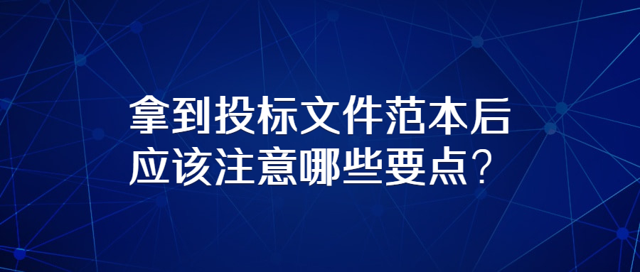 拿到投標(biāo)文件范本后應(yīng)該注意哪些要點(diǎn)？