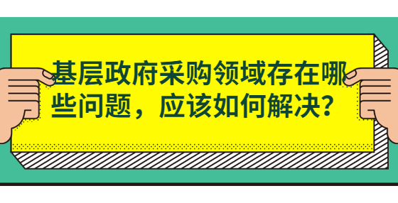 基層政府采購領(lǐng)域存在哪些問題，應(yīng)該如何解決？