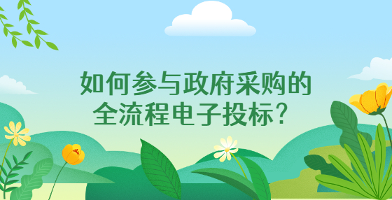 如何參與政府采購(gòu)的全流程電子投標(biāo)？