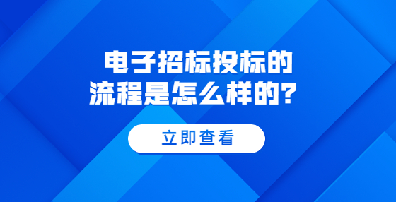 電子招標(biāo)投標(biāo)的流程是怎么樣的？