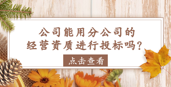 公司能用分公司的經(jīng)營(yíng)資質(zhì)進(jìn)行投標(biāo)嗎？