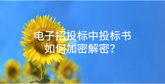 電子招投標(biāo)中投標(biāo)書如何加密解密？