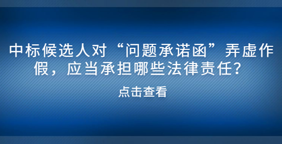 中標(biāo)候選人對(duì)“問(wèn)題承諾函”弄虛作假，應(yīng)當(dāng)承擔(dān)哪些法律責(zé)任？