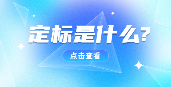 定標是什么?