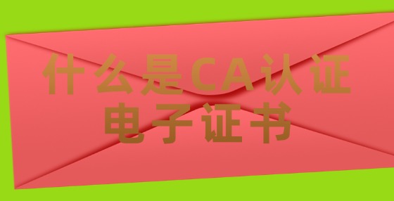 什么是CA認(rèn)證電子證書(shū)?