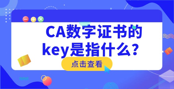 CA數(shù)字證書的key是指什么？