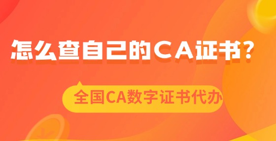 怎么查自己的CA證書？